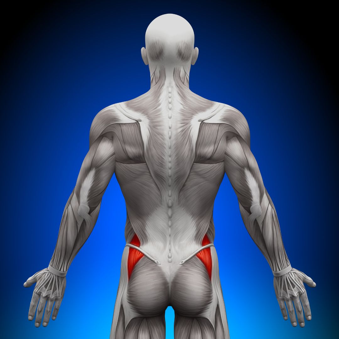 Gluteus Medius Tendinopathy: Understanding Hip Pain and Osteopathic Care blog photo
