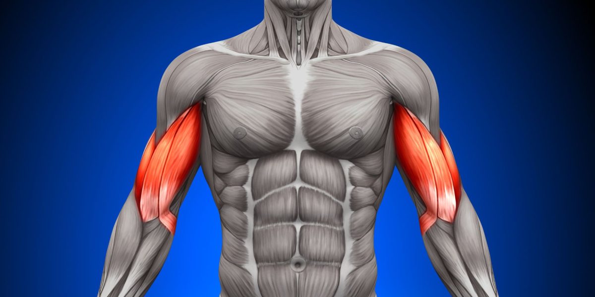 Biceps Tendinopathy